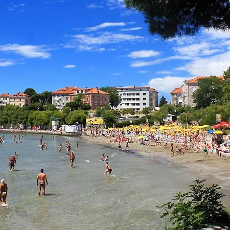 Penzion With Wifi - 20108